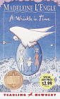 Buy A Wrinkle in Time at Amazon.com